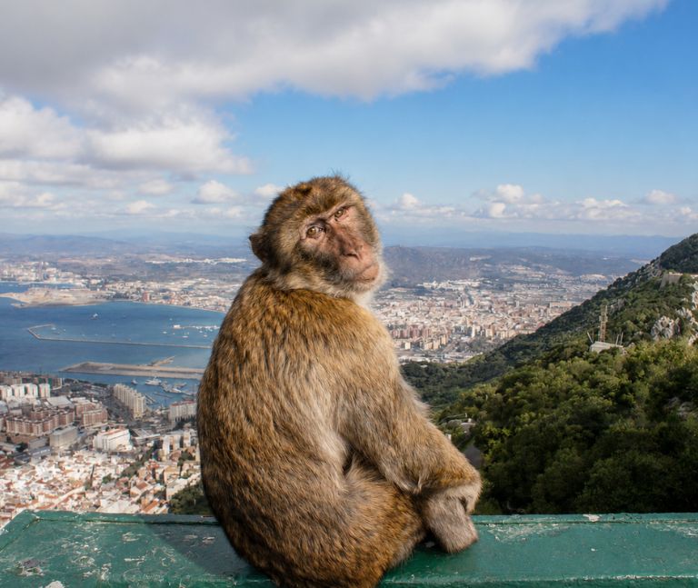 best day trips from Marbella